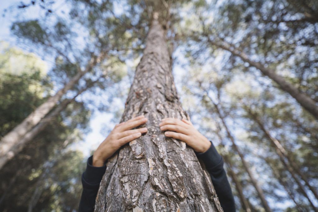 4 Razones Por Las Que Reciclar Las Latas De Conserva